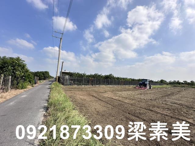 麻豆農地-6