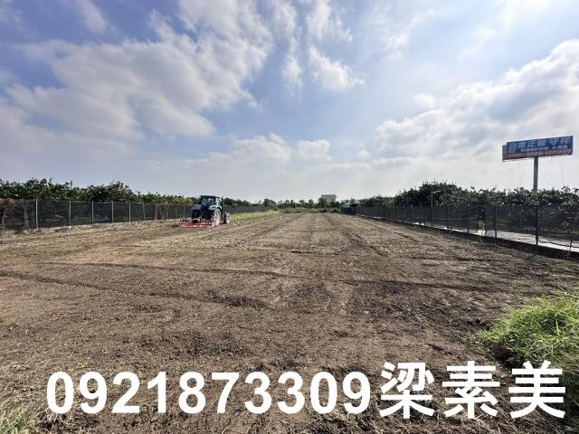 麻豆農地-7