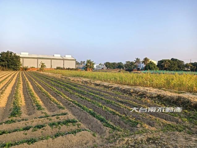 台南新化農地-3