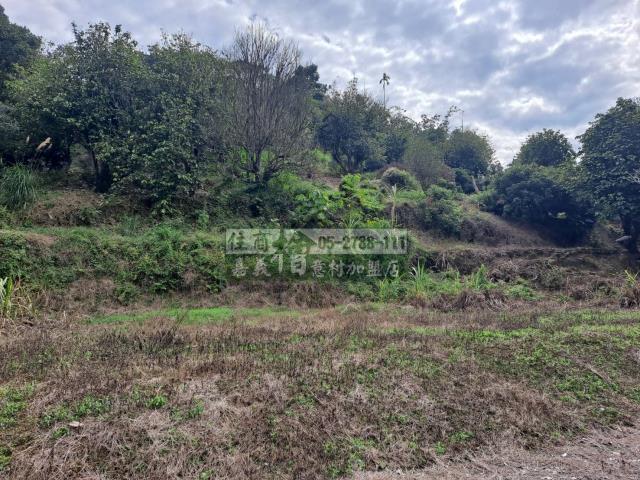 竹崎農地-10