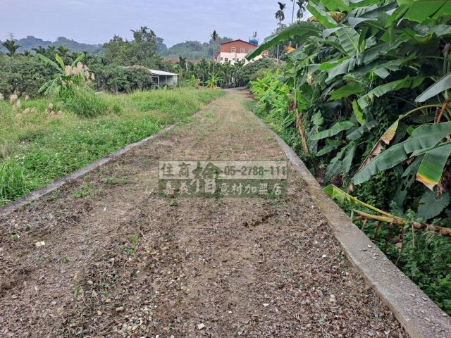 竹崎農地-11