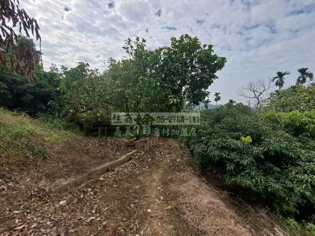 竹崎農地-5