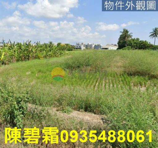 台南農地-2