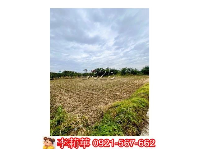 台南麻豆農地-7