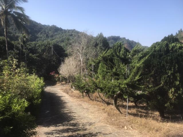 太平農地-5