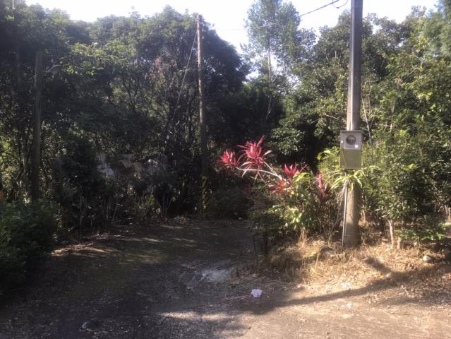 太平農地-6
