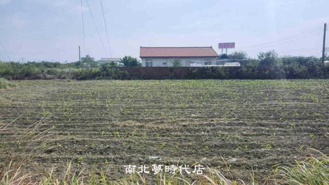 麻豆農地-3