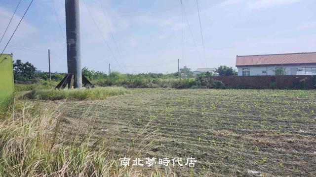 麻豆農地-4