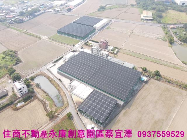 台南官田農地-1