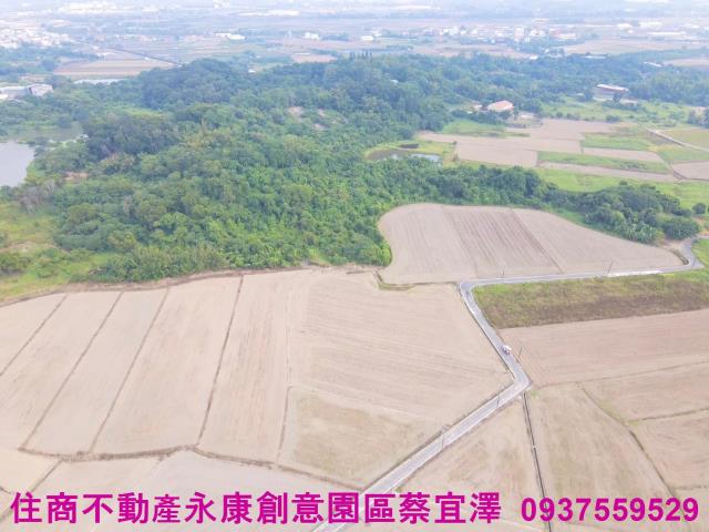 台南官田農地-4