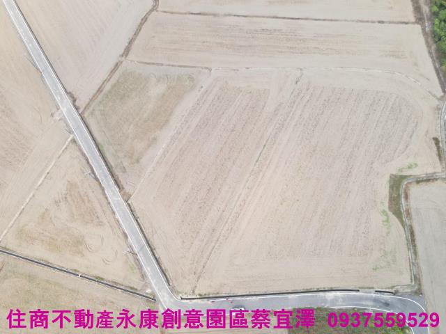 台南官田農地-5