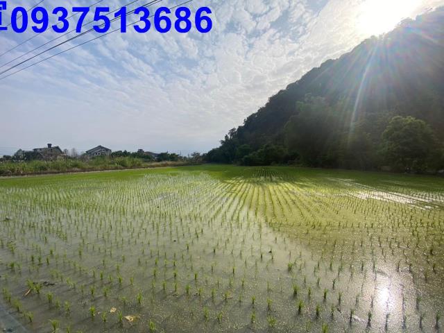 員山農地-9
