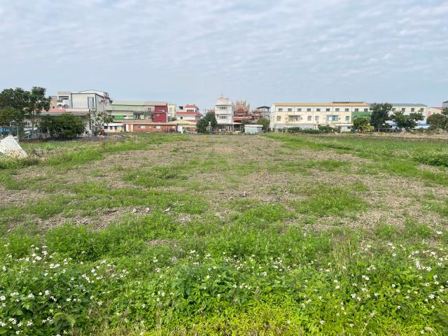 水上農地-2