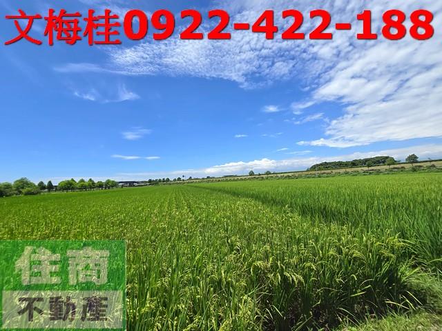 宜蘭壯圍農地-10