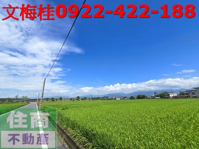 宜蘭壯圍農地-5