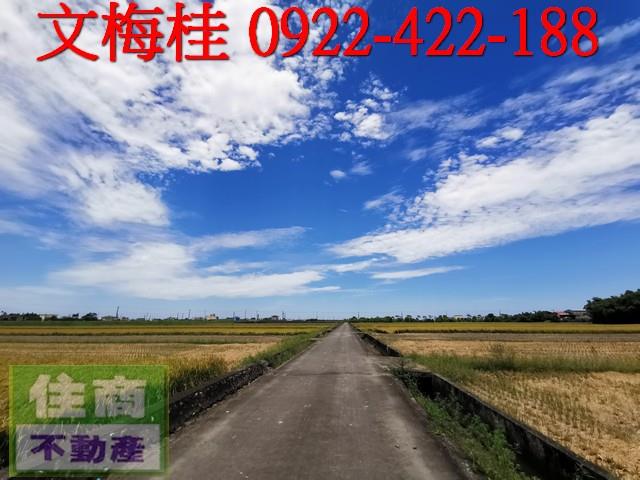 宜蘭壯圍農地-4