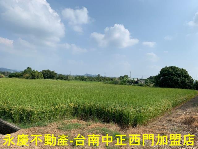 台南農地-12