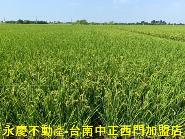 台南農地-13