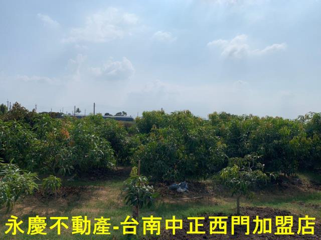 台南農地-5