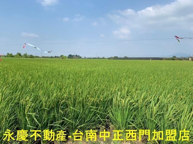 台南農地-6