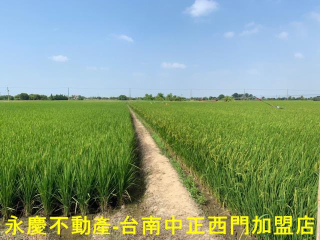 台南農地-8
