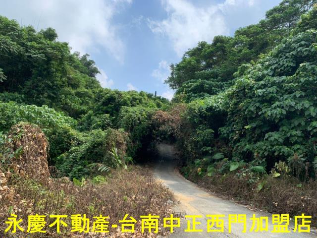 台南農地-11