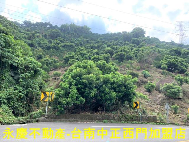 台南農地-3
