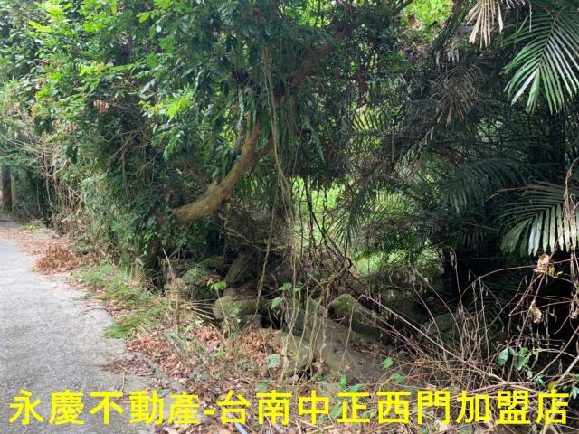 台南農地-4