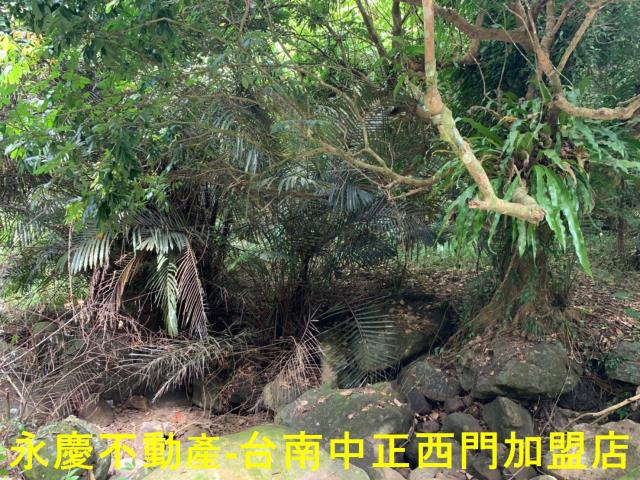 台南農地-5