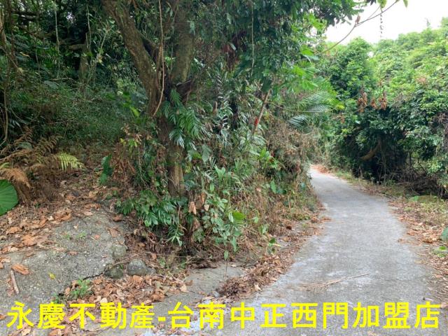 台南農地-6