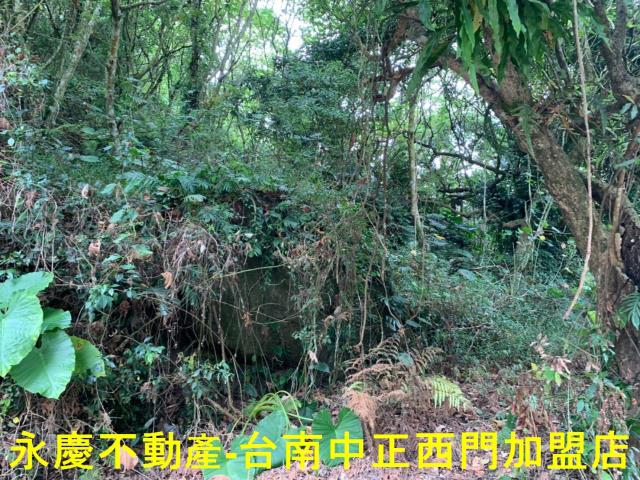 台南農地-9