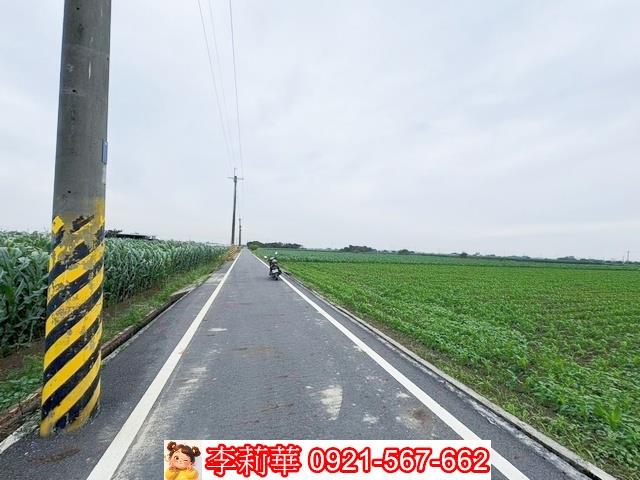 台南鹽水農地-3