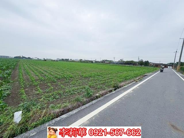 台南鹽水農地-4