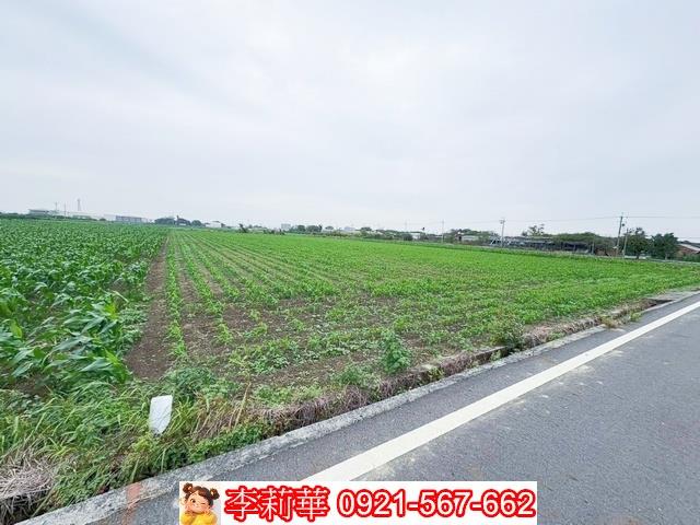 台南鹽水農地-5