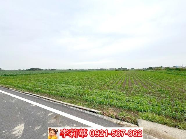 台南鹽水農地-6