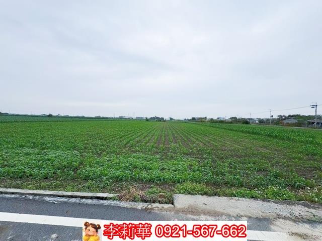 台南鹽水農地-8
