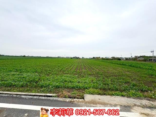 台南鹽水農地-9