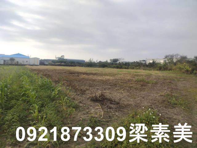 歸仁農地-1