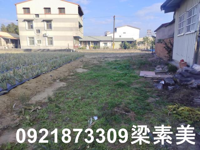 歸仁農地-3
