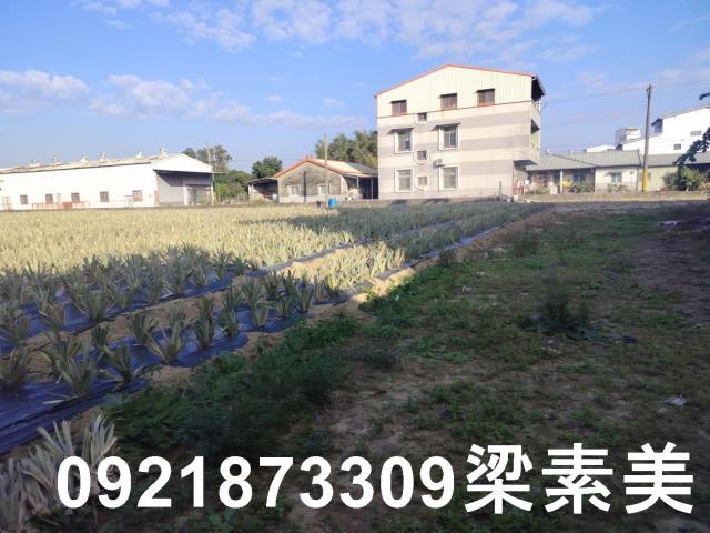 歸仁農地-5