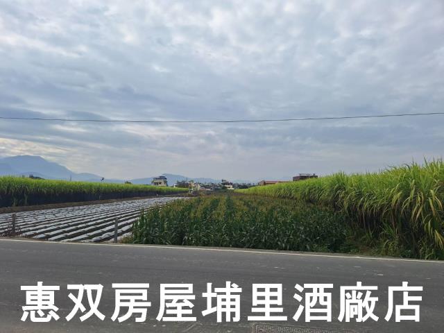 南投埔里農地-1
