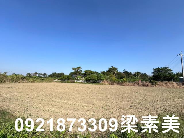 新化農地-5