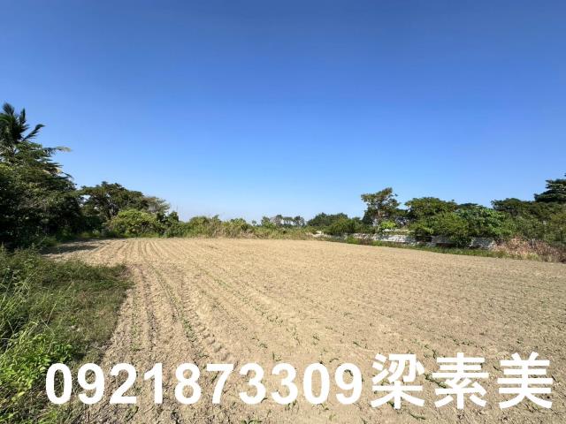 新化農地-7