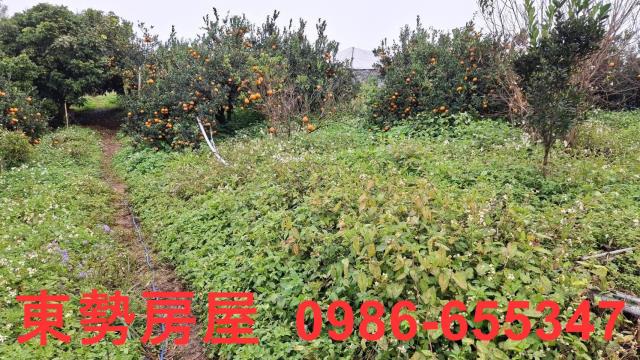 卓蘭農地-5