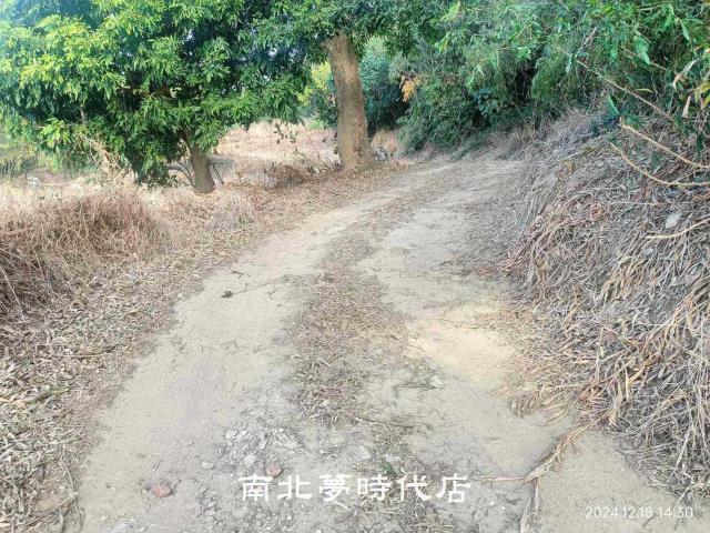 關廟農地-9