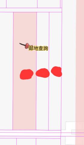 麻豆農地-6