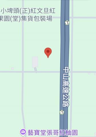 麻豆農地-9