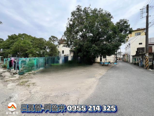 嘉義水上建地-1