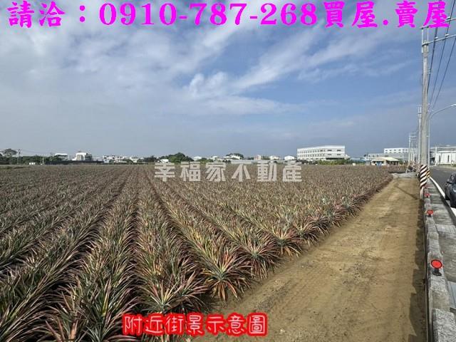 山上農地-2