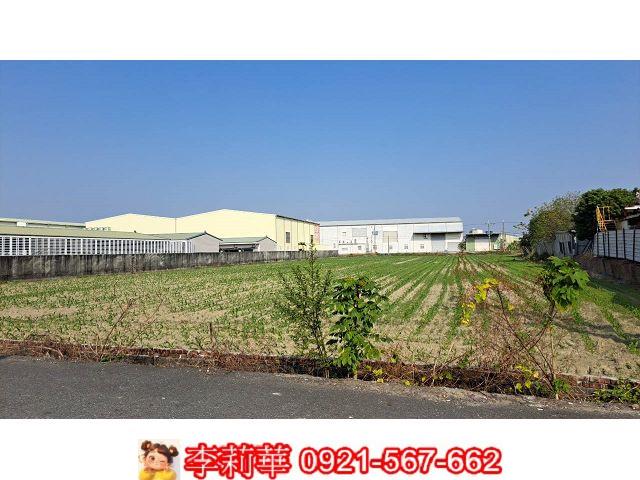新市農地-4